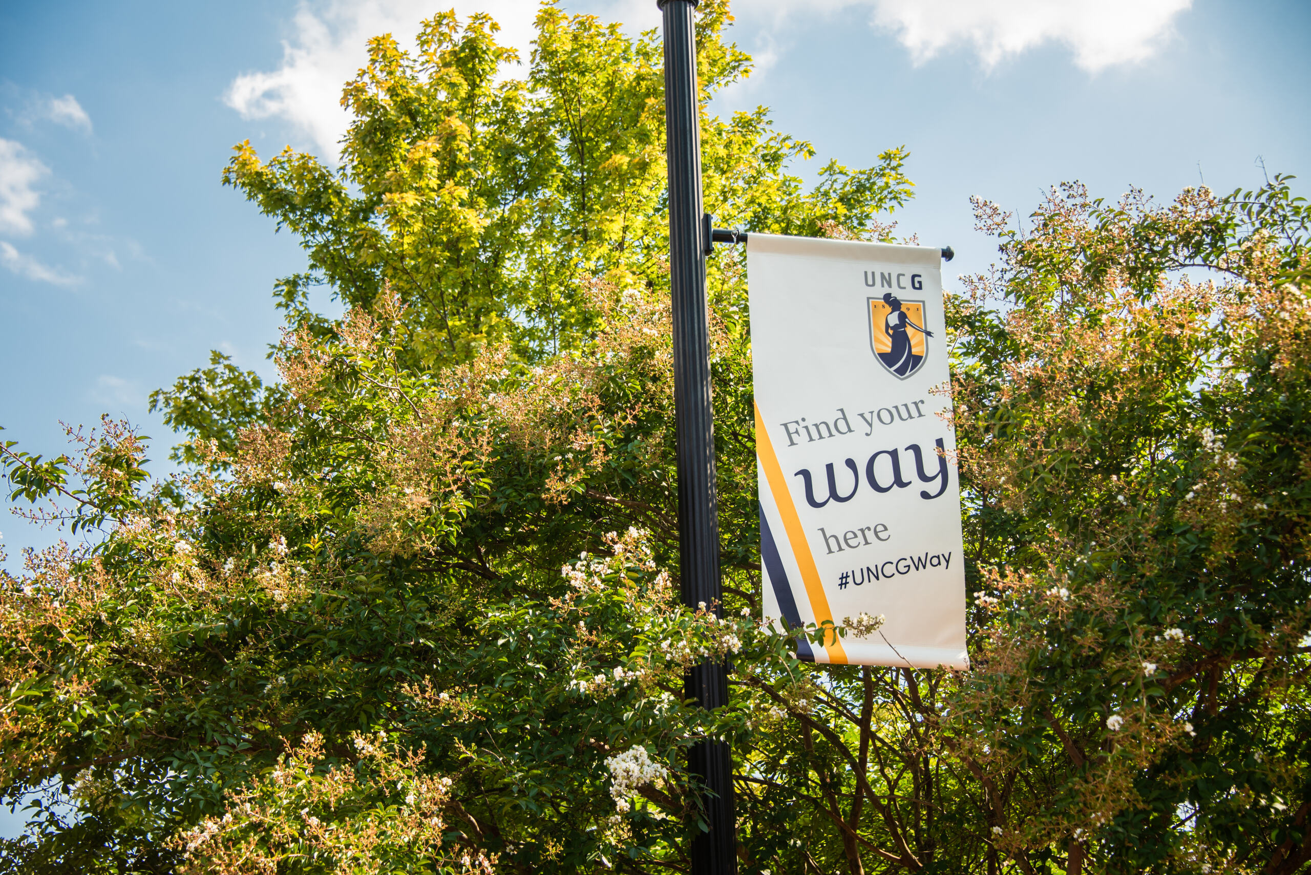 UNCG Pole